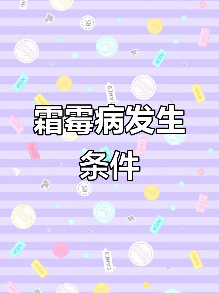 霜霉病发病原因揭秘:低温高湿是关键