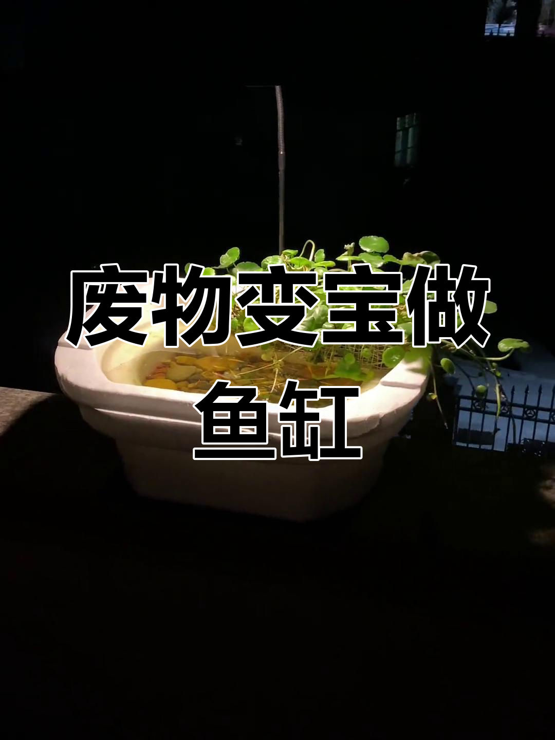 利用废旧物品打造古法生态鱼缸,简单又环保!
