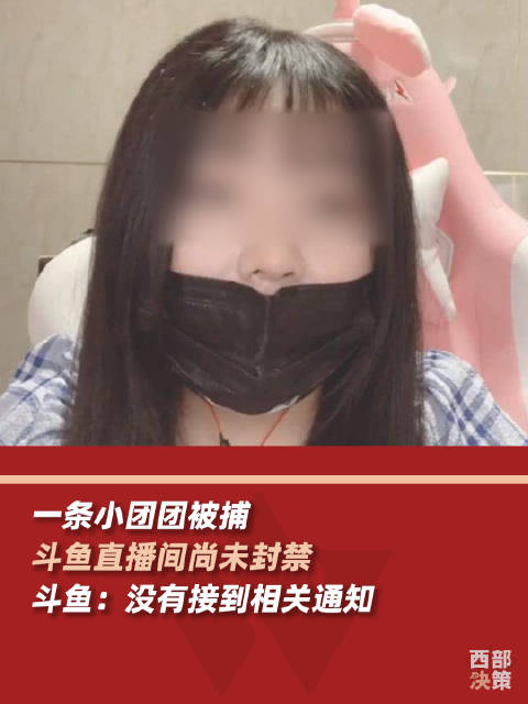 斗鱼回应一条小团团直播间还在「一条小团团斗鱼直播间还在,客服:以实际页面显示为准」小团团商