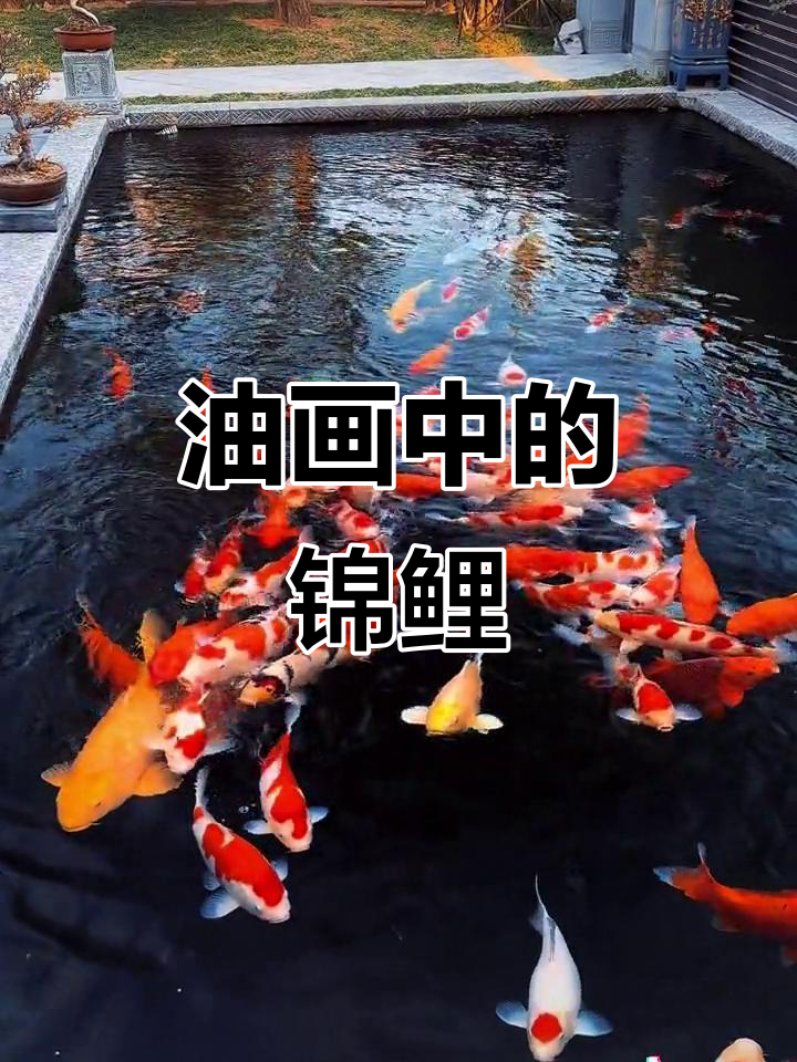 锦鲤跃出油画,唯美意境解压好运来