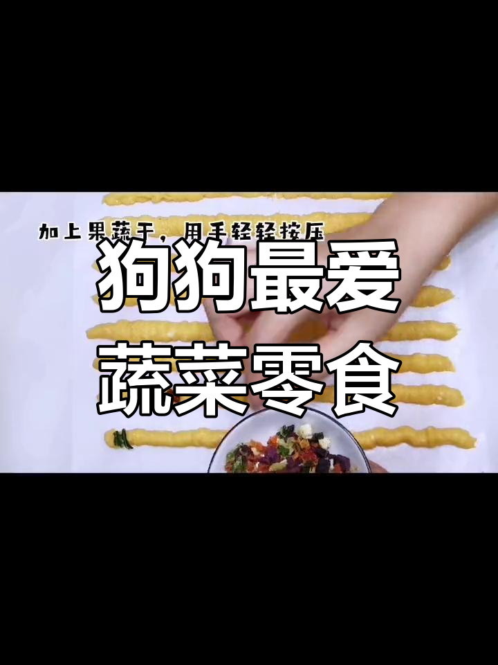 自制蔬菜营养棒,边牧超爱!