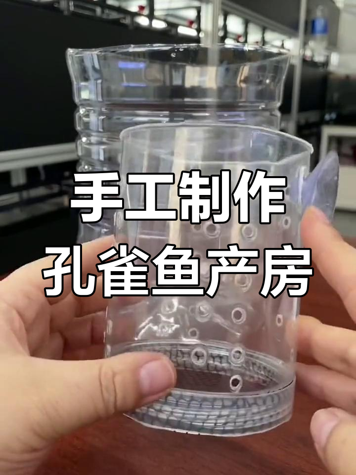 自制孔雀鱼产房,简单又实用