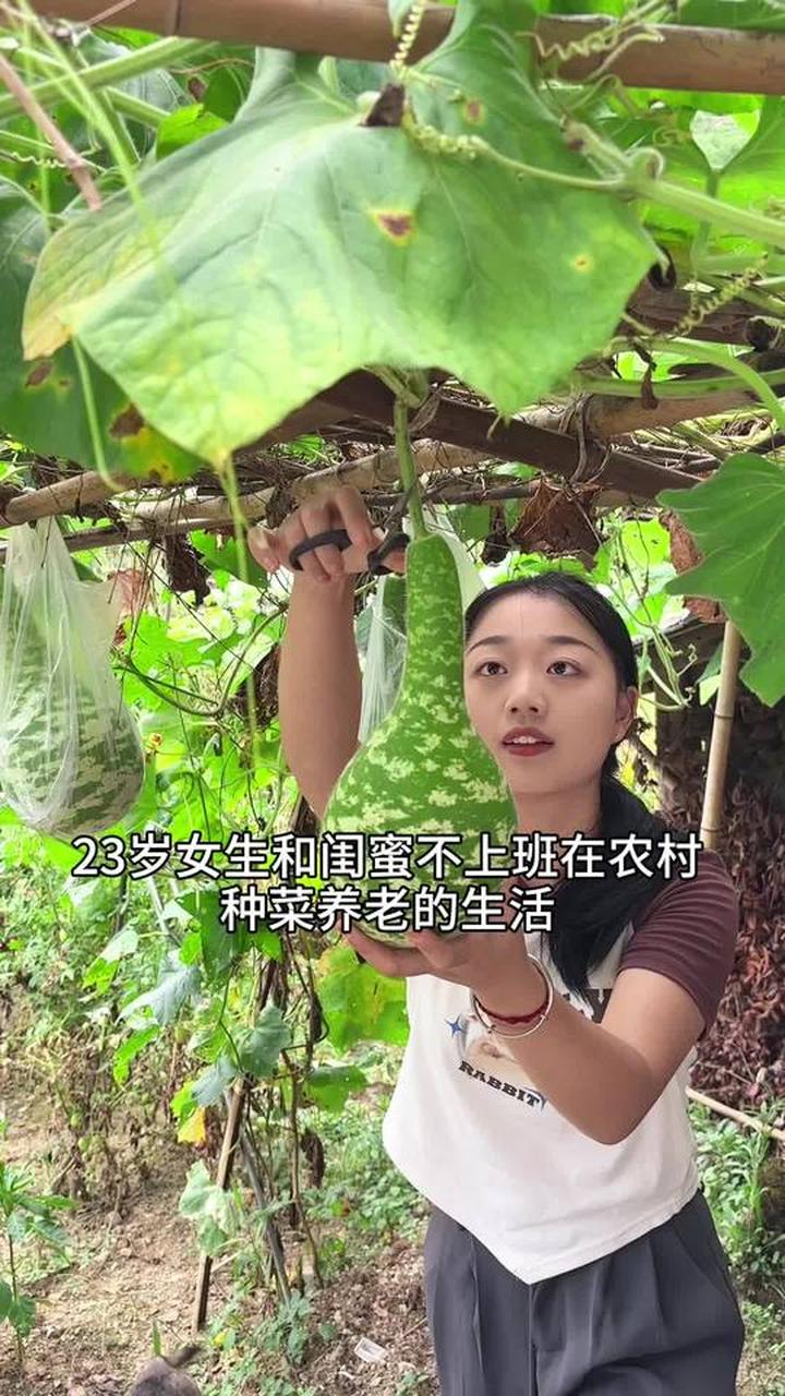 在农村拥有小菜地,实现蔬菜自由超幸福