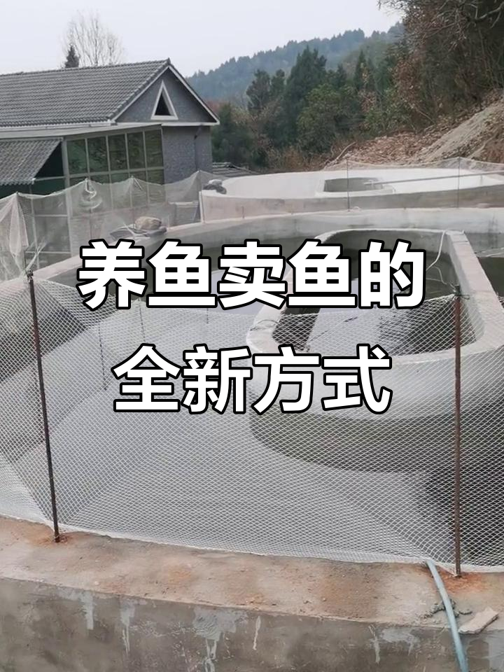 环岛流水养鱼池,养殖与供应链一体化的新模式