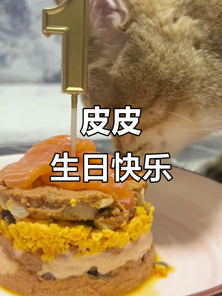 皮皮的生日蛋糕惊喜,妈妈亲手做!