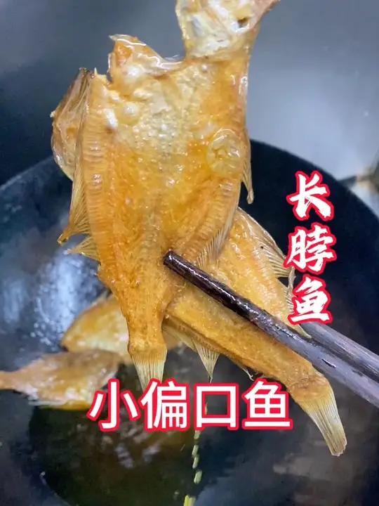 小长脖鱼,偏口鱼、价格便宜,吃法多样,经济实惠型。每年这时候开始大量上市,晒点鱼干放冰箱,