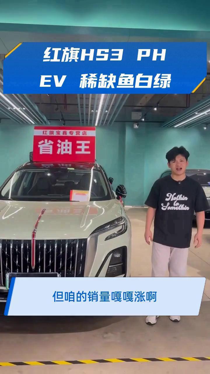 红旗HS3 PHEV 稀缺鱼白绿
