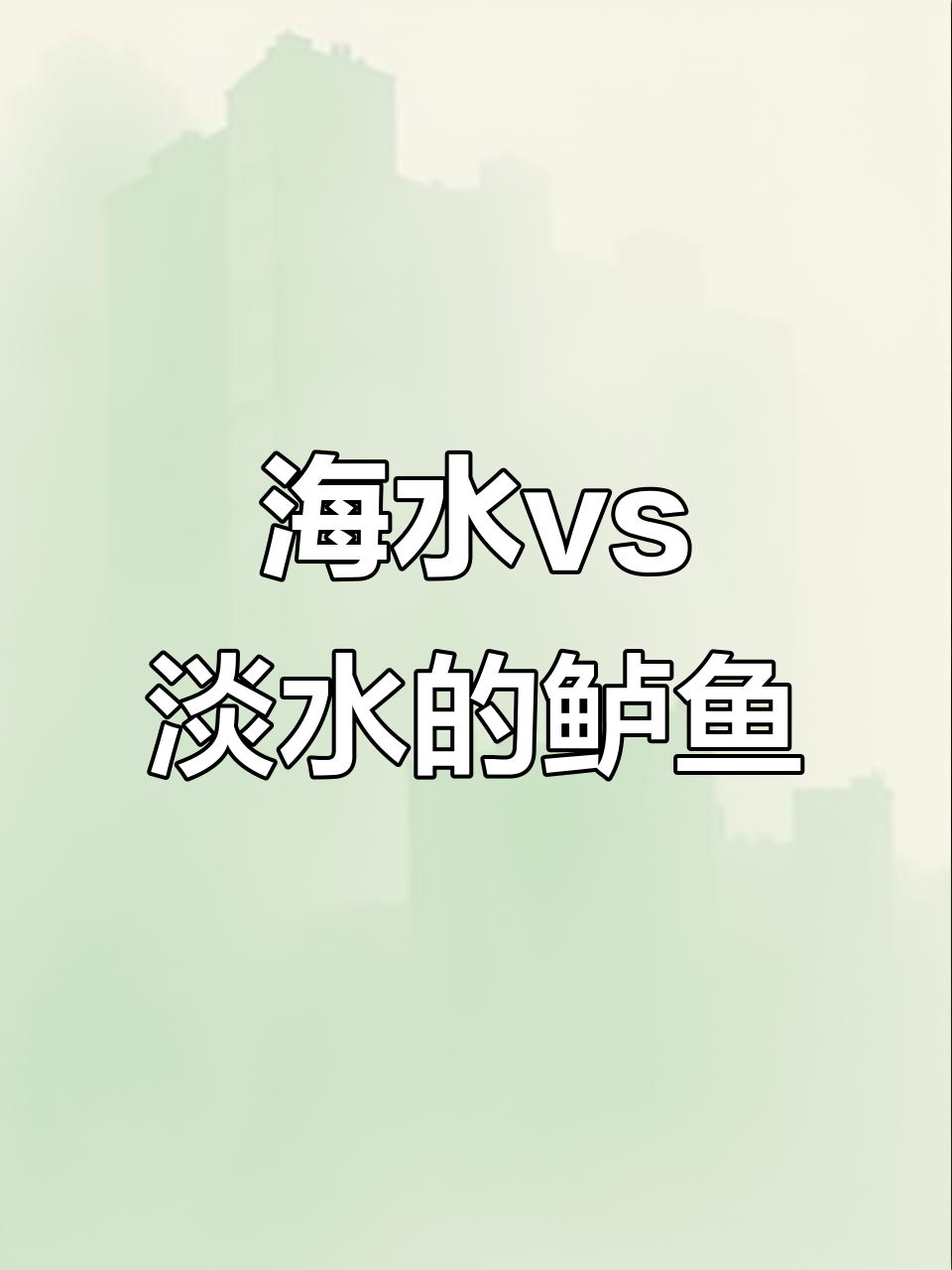 海鲈鱼与淡水鲈鱼的全方位对比：口感、营养大不同