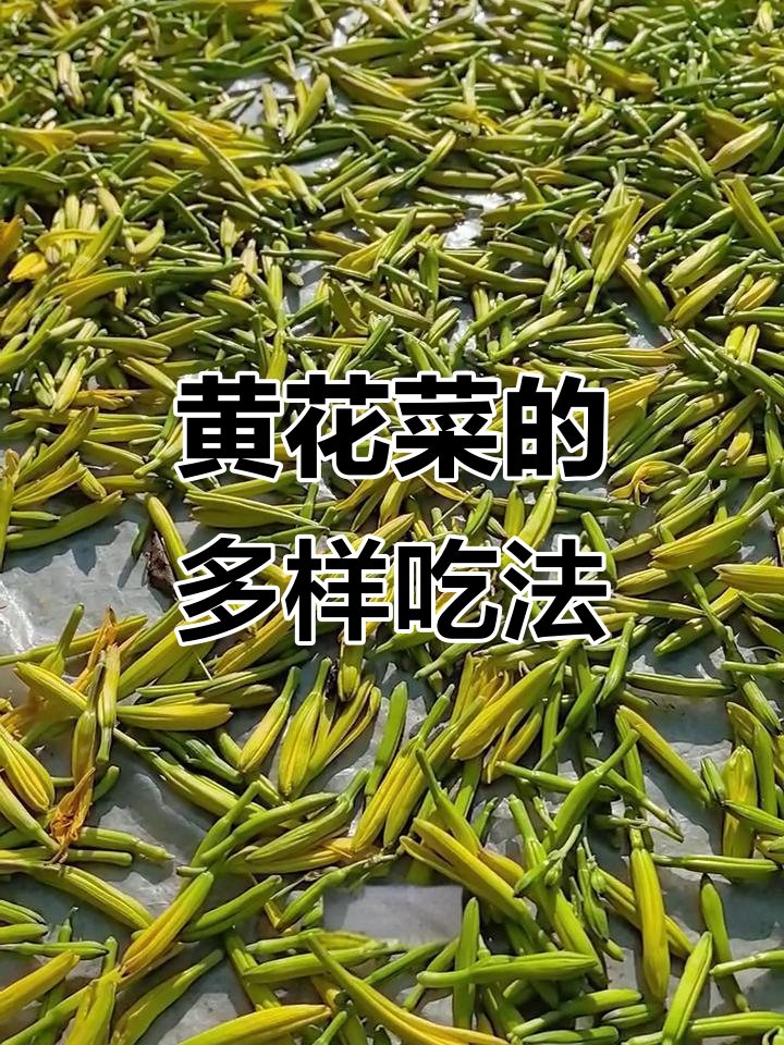 野生黄花菜,自然晾晒,营养丰富,多种做法皆宜