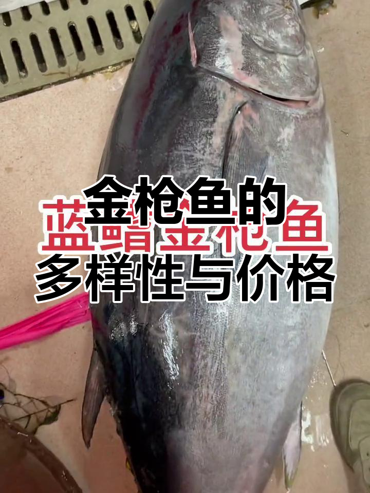 金枪鱼种类繁多,价格差异巨大