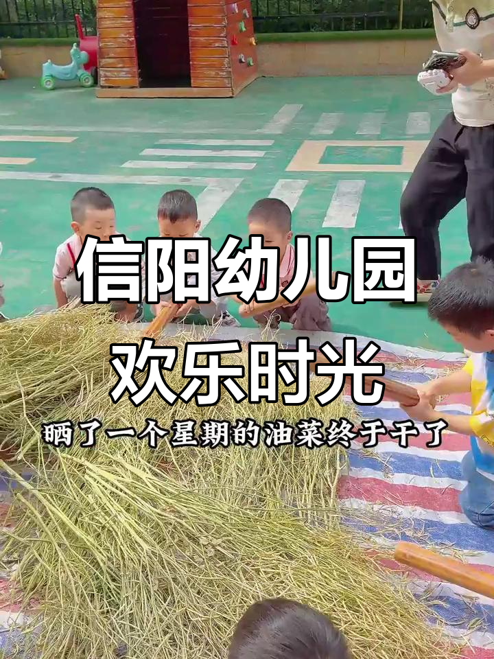 信阳青蓝幼儿园:打油菜籽、玩泥巴,孩子们的童年乐趣多