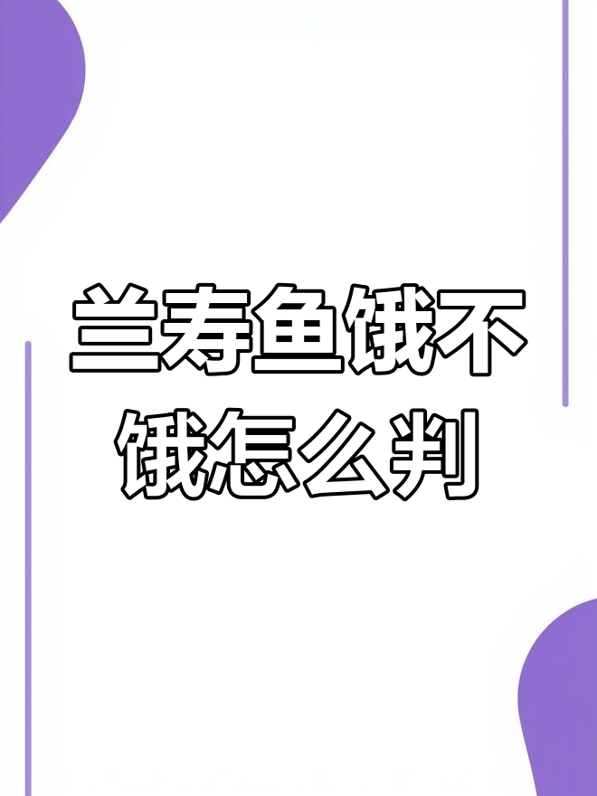 如何判断兰寿金鱼是否饿了?观察它们的行为就知道