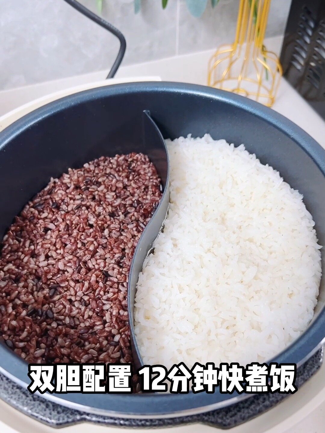 一次煮两个不一样米饭的神仙电压力锅!