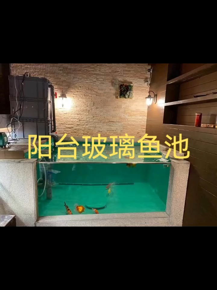阳台玻璃鱼池