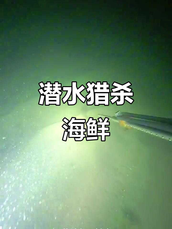 深海捕捞大作战,虾弓精准出击连环抓鱼