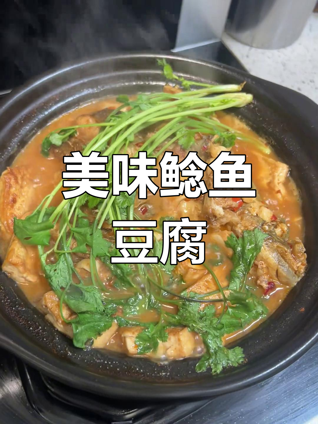 钓到鲶鱼,肉质鲜美,豆腐焖煮更添风味