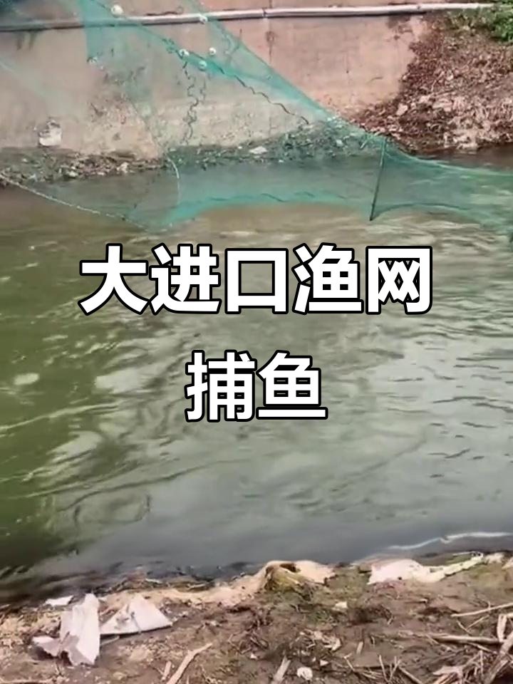蓝河网捕鱼神器,轻松拦住过路鱼