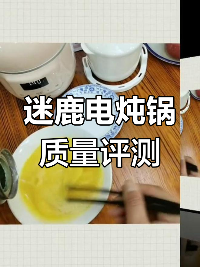 迷鹿电炖锅使用体验如何