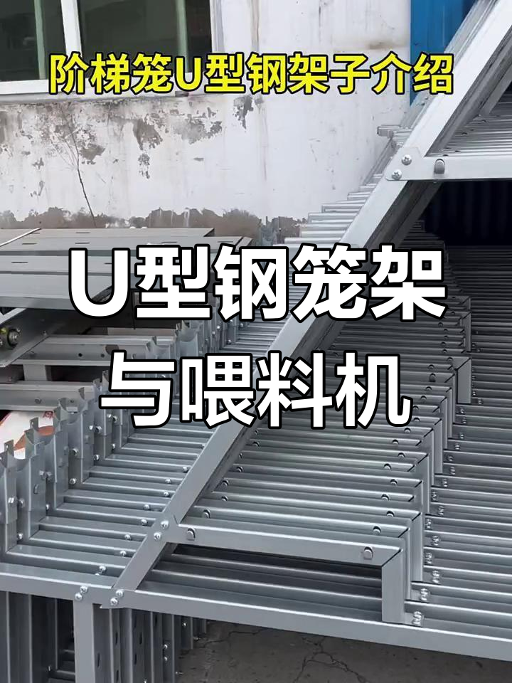 自动化养鸡设备:U型钢笼架与马鞍式喂料机完美配合