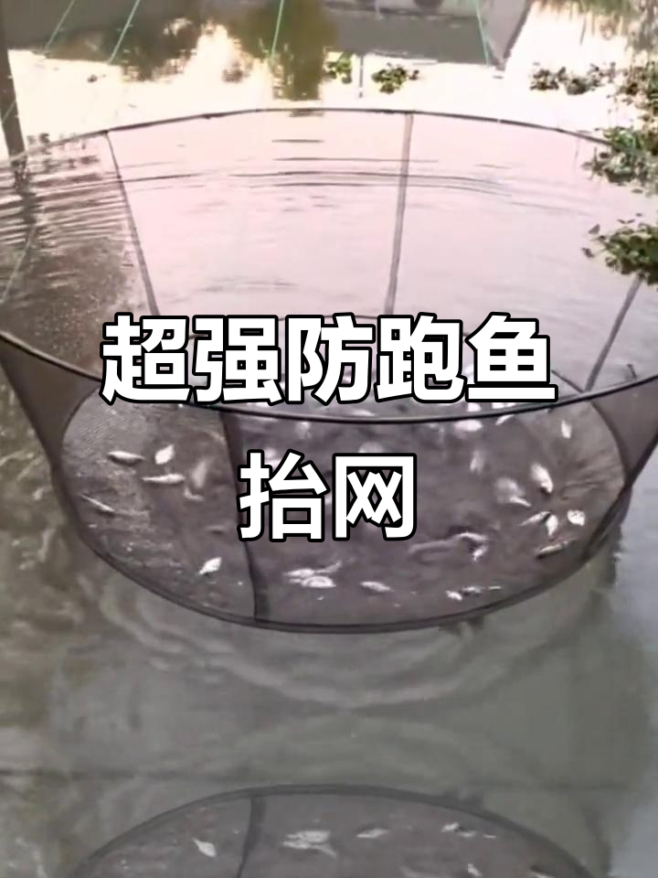 便携圆形抬网，轻松捕鱼爆满！