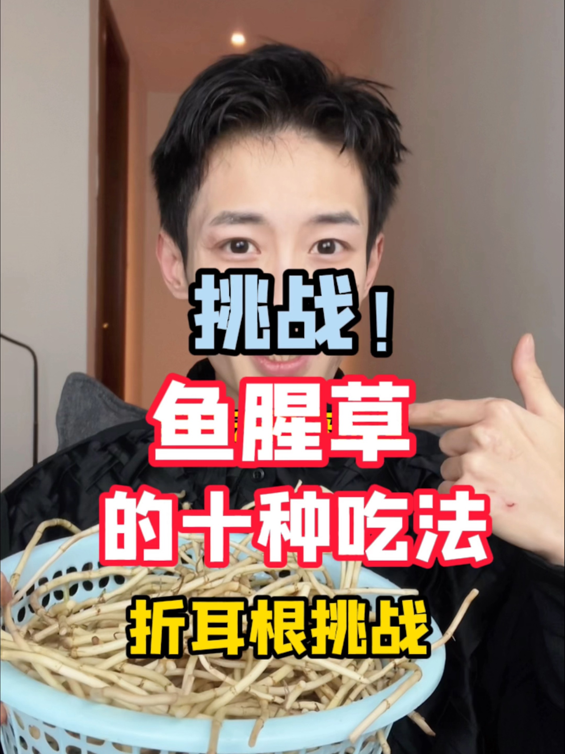 测评挑战鱼腥草(折耳根)的十种吃法!