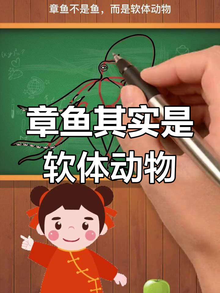章鱼是软体动物,不是鱼类