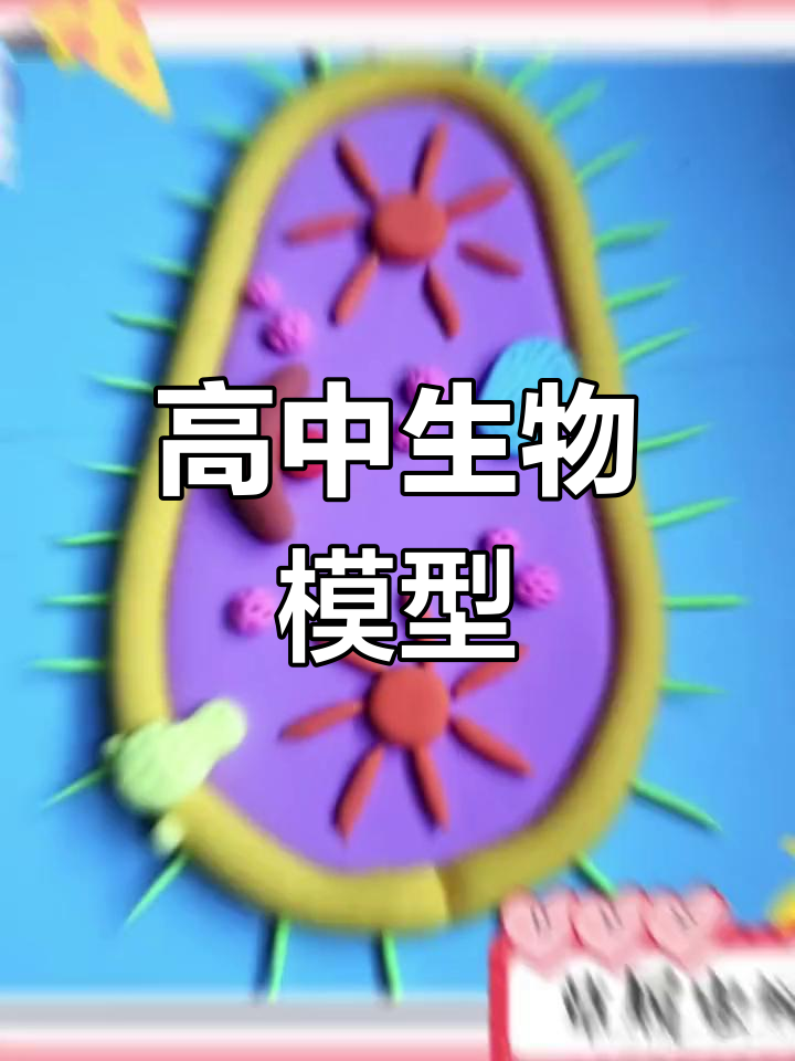 高一生物模型手工制作,超轻粘土材料包提供