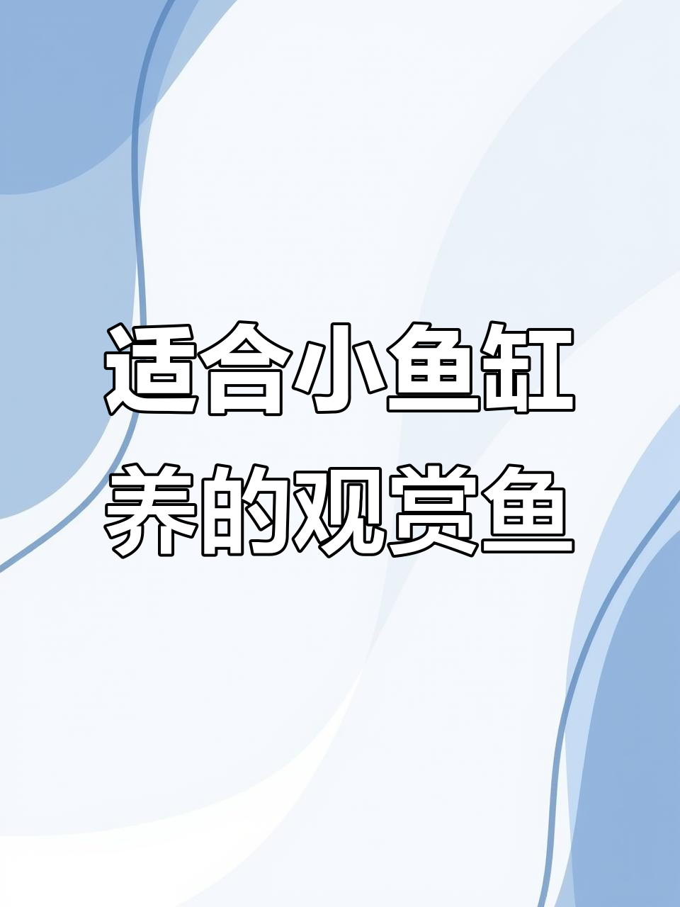 小鱼缸必养观赏鱼,水质好它们就能健康生长