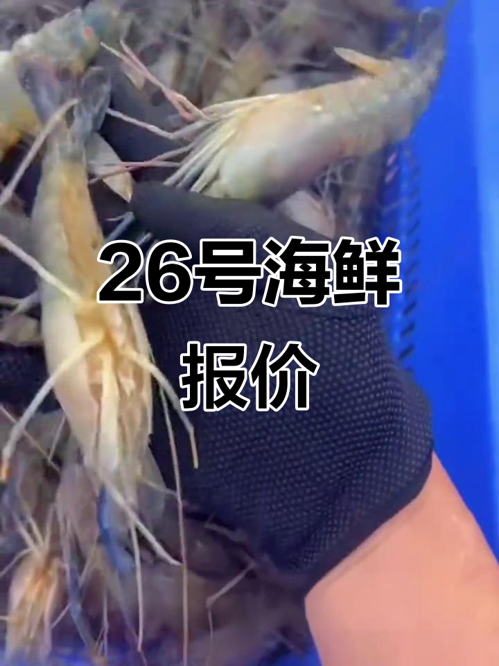 26日海鲜批发价格大揭秘，罗氏虾、黑虎虾等一应俱全