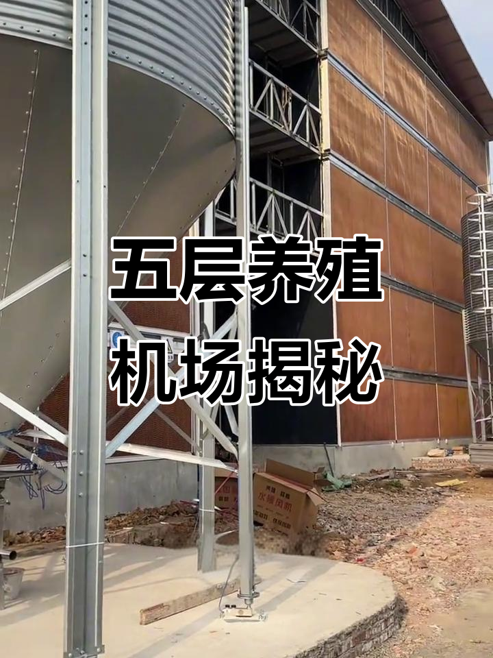 探访五层养鸡场，规模七万亩！