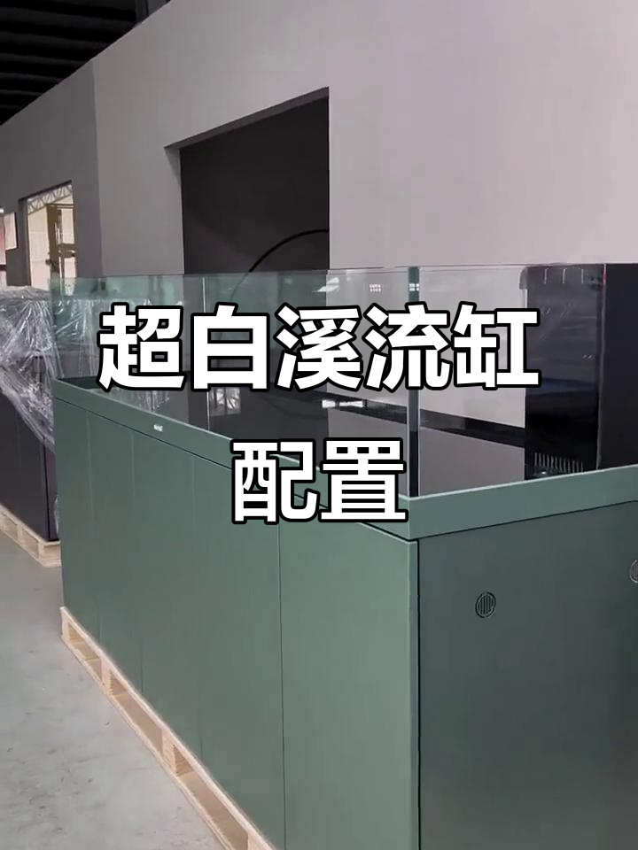 全新溪流缸配置揭秘：超白玻璃与V6底滤系统完美搭配