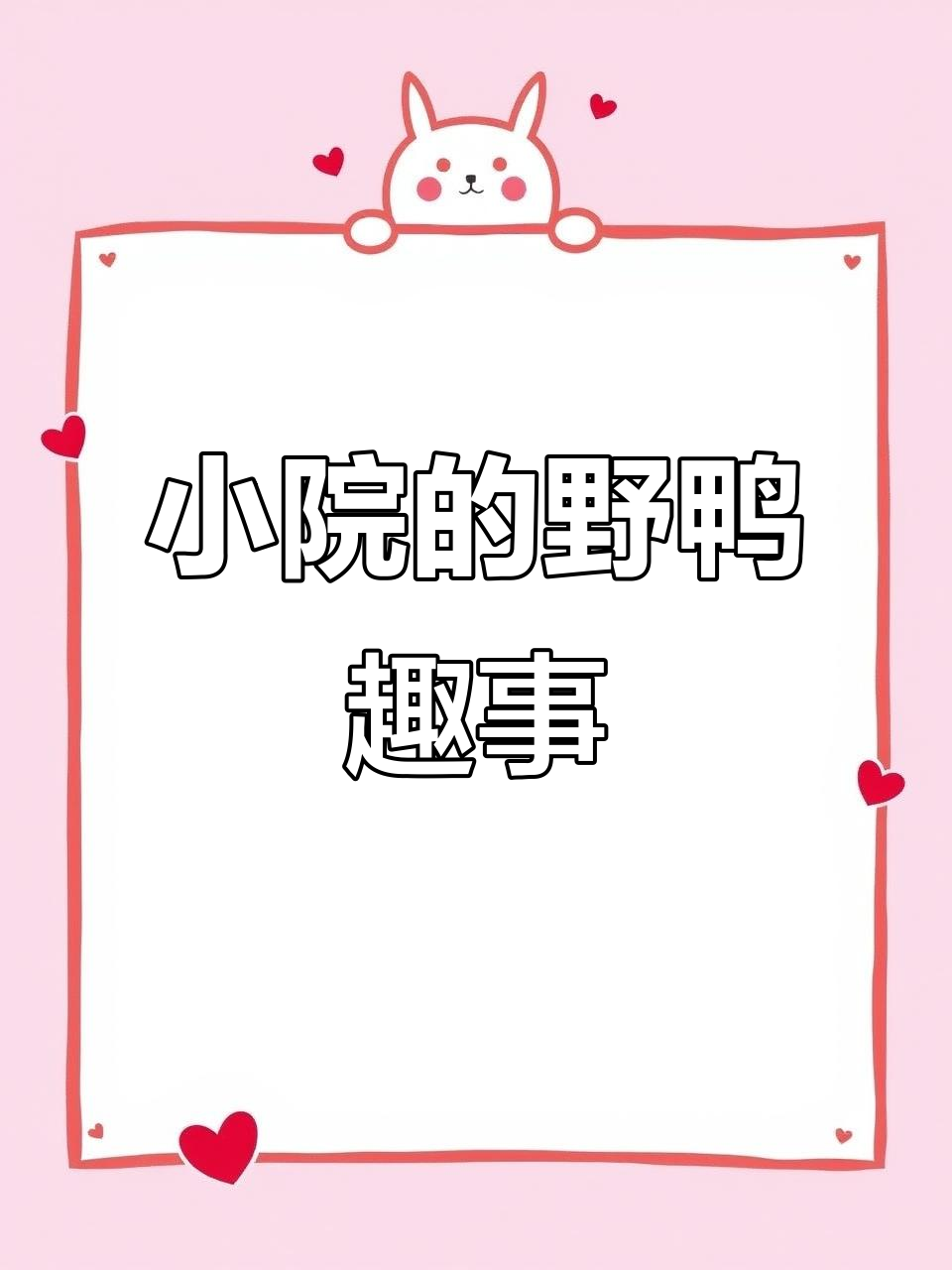 过年小院里的可爱野鸭,公母难辨!