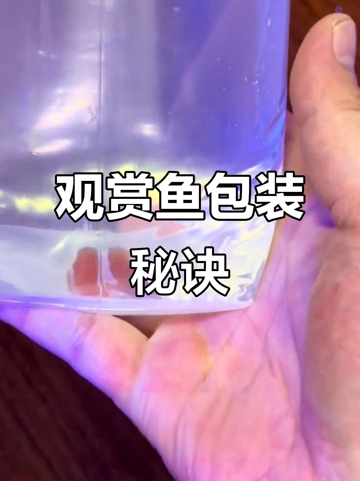 活鱼运输技巧,小丑鱼的打包与安全送达