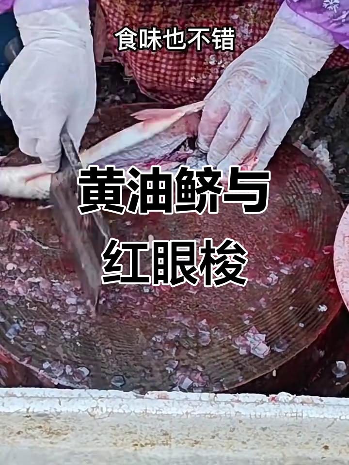 北京特色黄油鲚，北方开凌梭的独特美味