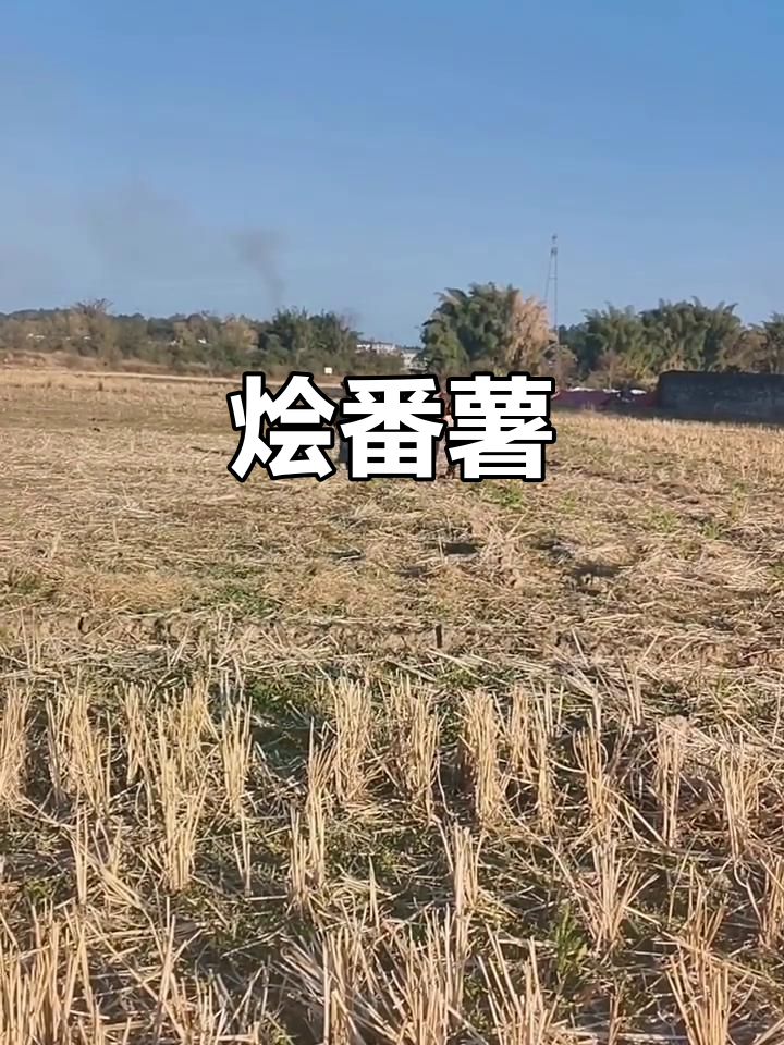 烩番薯,香甜软糯的完美搭配