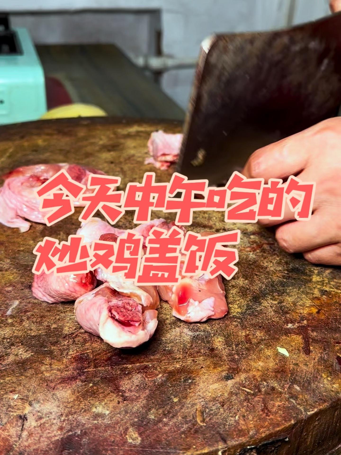 管饱系列 炒鸡盖饭 打工人必备 你们中午都吃的啥?