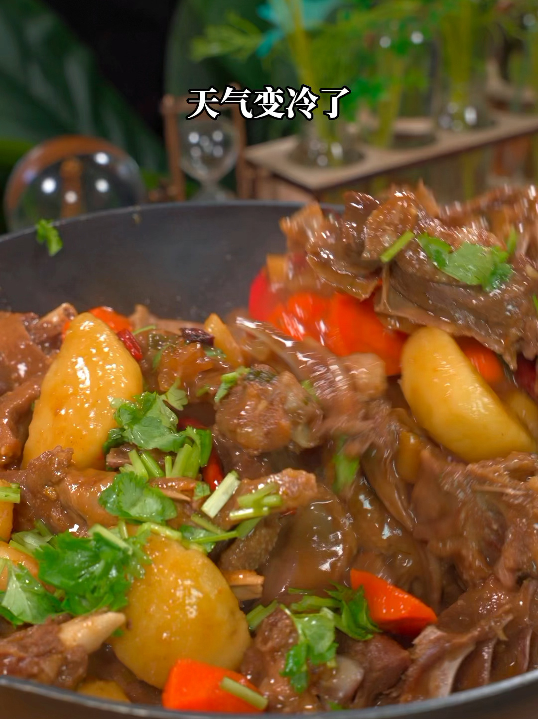 大鹅炖土豆