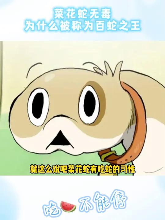 菜花蛇:没有技巧因为我有的是力气