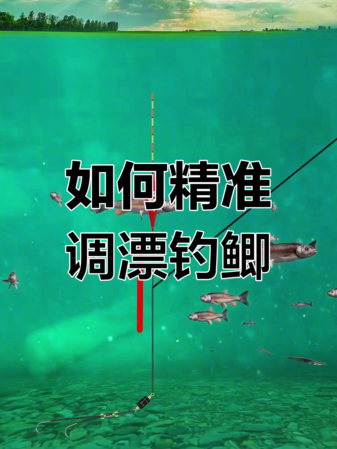 钓鲫鱼必备技巧：调漂方法全解析