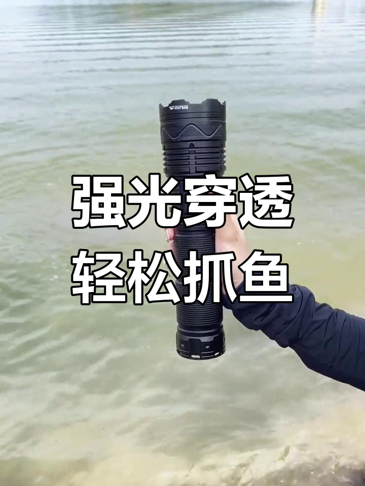 激光手电,捕鱼无死角
