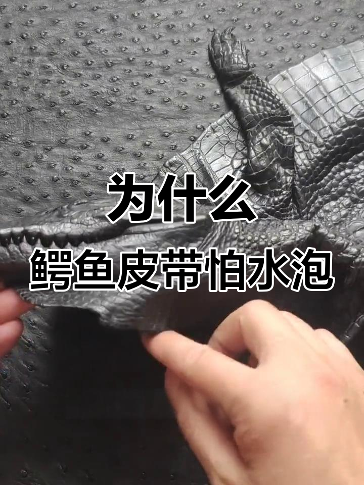 鳄鱼皮具为何不能泡水?揭秘背后的原因