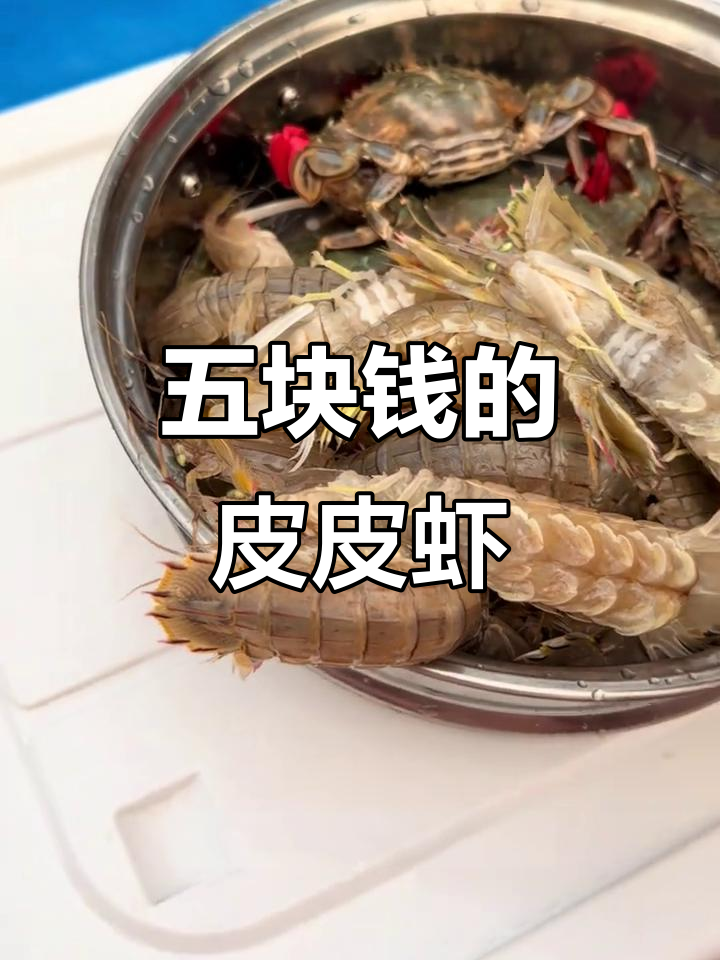 锦州渔人码头海鲜市场探秘：皮皮虾五块一斤，超值新鲜货