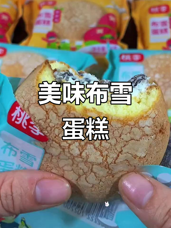 布雪蛋糕酸甜可口,蔓越莓与葡萄干搭配超赞!