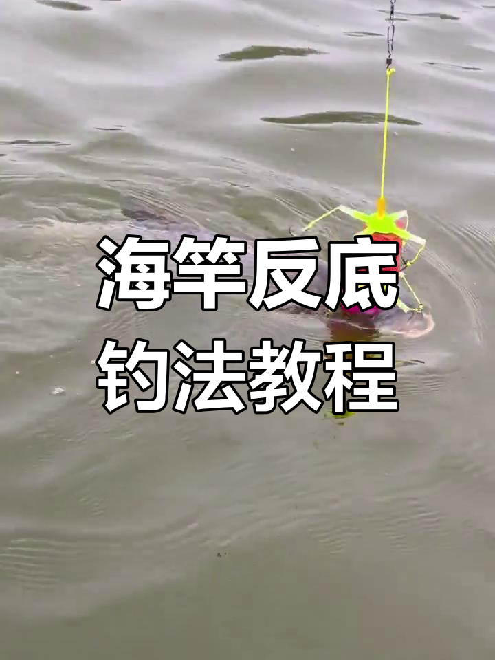 反底钓鲢鳙线组组装技巧,轻松掌握海竿入门