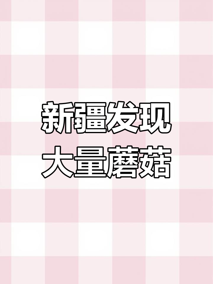新疆若羌灰枣地里惊现野生蘑菇,鸡腿菇超多!