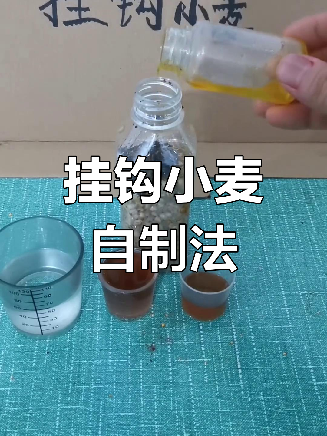 自制钓鱼小麦饵料,轻松制作技巧