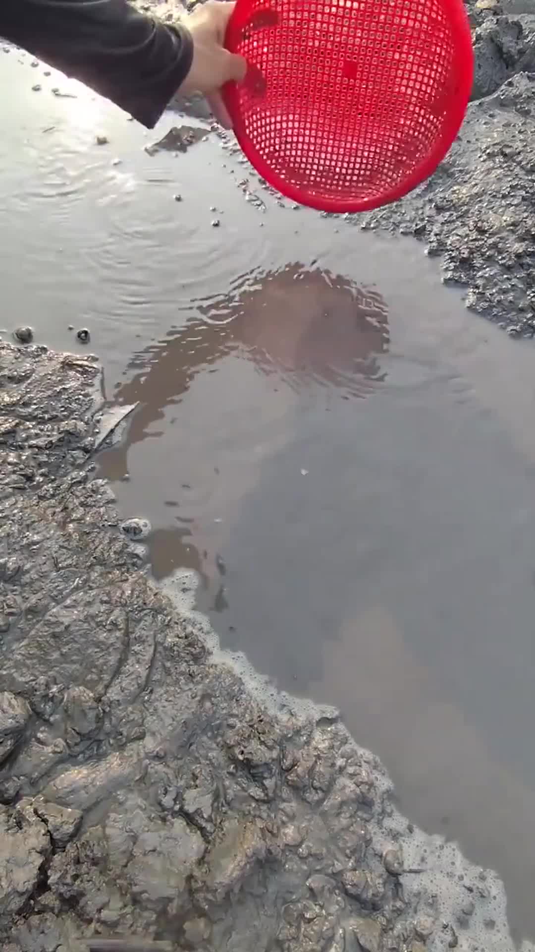 #我的乡村生活 #国外生活日常vlog #户外捕鱼