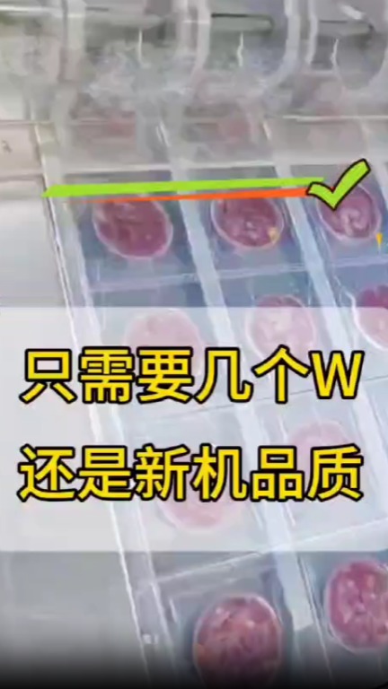 糙米饭团拉伸膜真空包装机,只要几个W,终身售后服务!