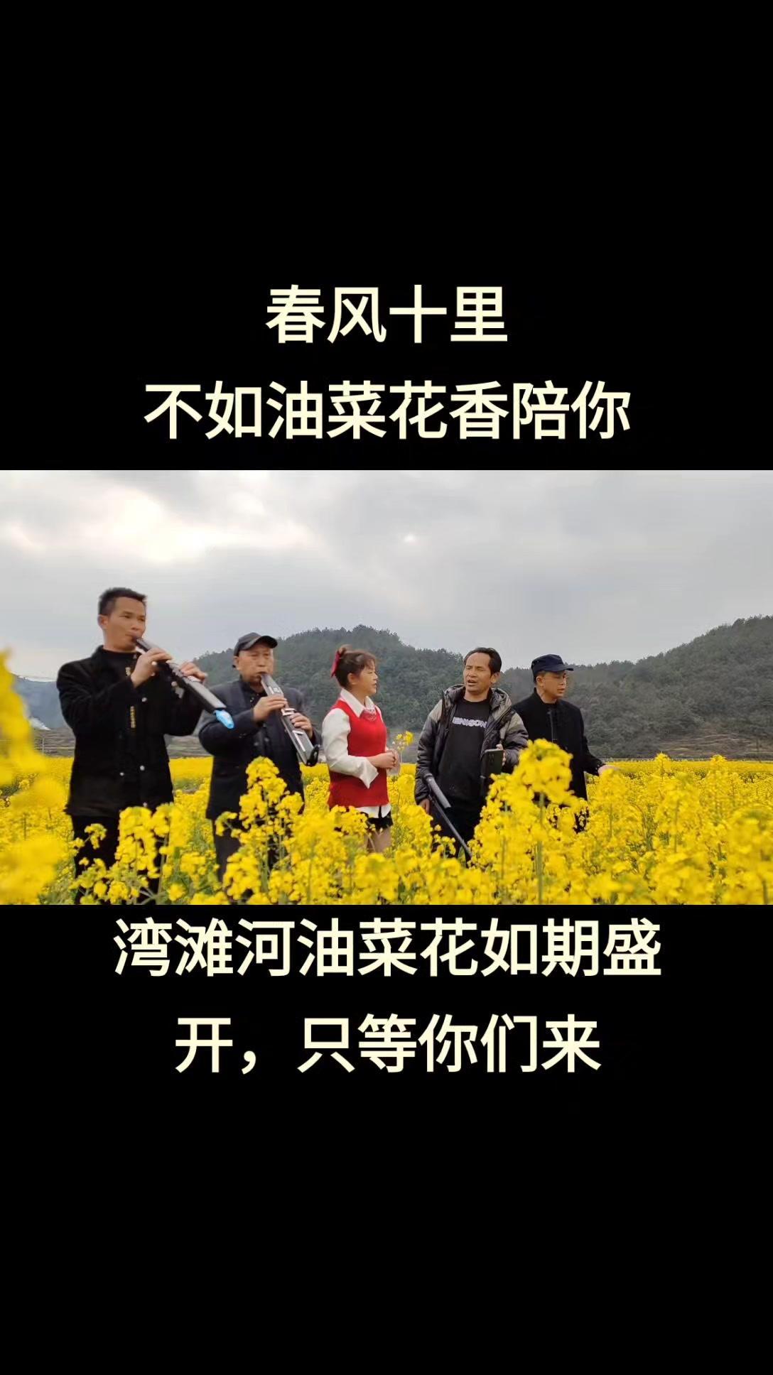漂亮的湾滩河,春风十里,不如油菜花香陪你,油菜花美美,心情也好好 有一种春天叫油菜花开