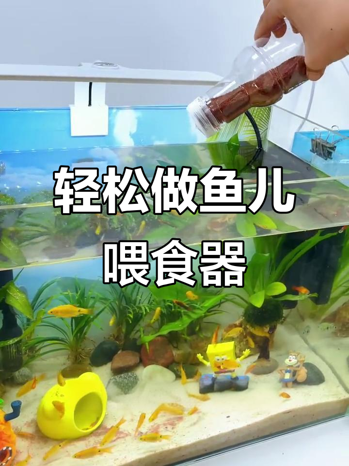 自制鱼儿喂食器,简单又实用